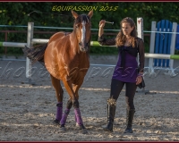 2-13JUIN 0702